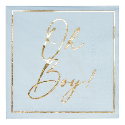 Hey Baby Blue Lunch Napkin 20pkg